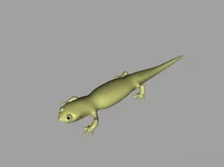 Cartoony Lizard 3D model