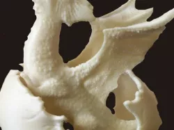 haching dragon