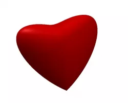 Heart