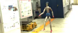 Human Dummy