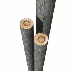 Log 3D model