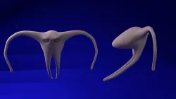 monster 3D model