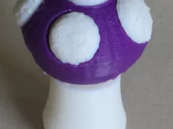 Mushroom2