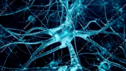 Neurons ride import pack 3D model