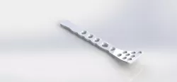 Orthopedic plac