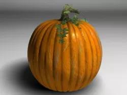 Pumpkin 3D model