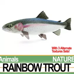 Rainbow Trout 3D model