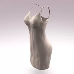 Sexy Nightwear 3D model