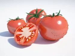 Tomato 3D model