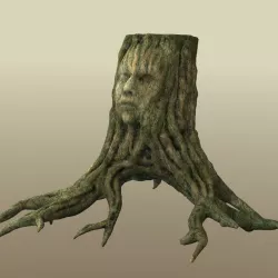 Tree Face Relief 3D model