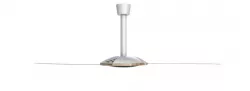 Two Blade Ceiling Fan 3D model