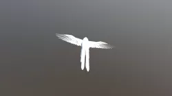 3D bird model