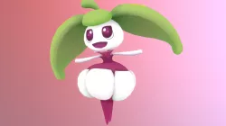 #762-Steenee(Amamaiko)