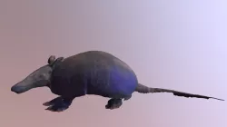 Armadillo