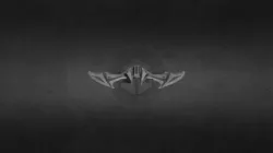 Batwing