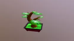 Bonsai