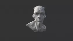 BUSTO
