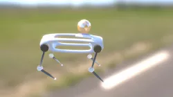 Cuadruped Robot