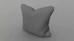 Cushion
