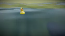 Duck Float Test