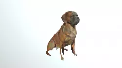Mastiff (Sitting)