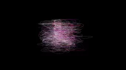 Model - Barcodes