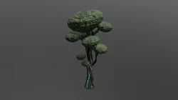 Mystic tree