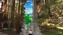 Painted tree