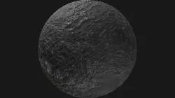 PBR Black Stone Moss