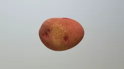 Potato_Netting