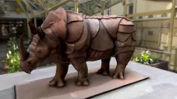 Rhino Mesh LD