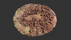 Rosemary Island structure