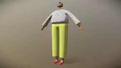 Sal Mesh Final