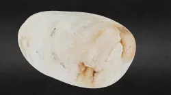 Sample 4