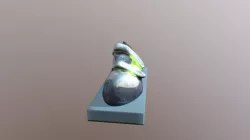 Shoe