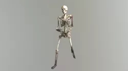 Skeleton