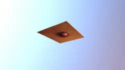 Squash 2 model