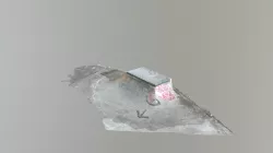 The Shred Box