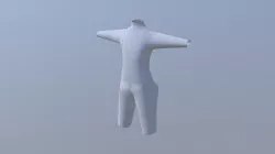Torso Reference
