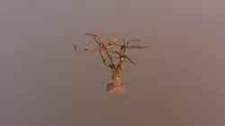 Tree3