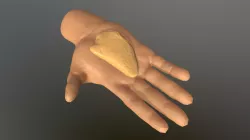 1 Porcion proteina Pollo.