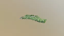 Botania summer 2017