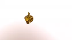 Brain