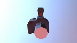 Canon Camera