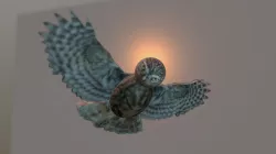 Cartoonish owl lowpoly test.