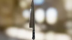 Cooking Knife