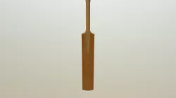Cricket Bat