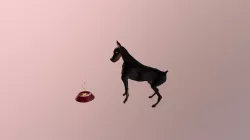Dogogo