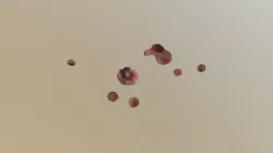Face test
