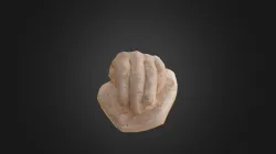 Hands (two of Two)